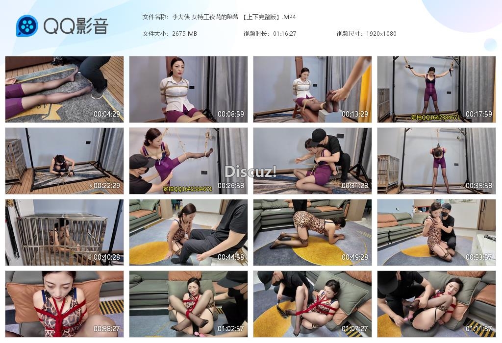 李大侠 女特工夜莺的陷落 【上下完整版】[20250826-224040].jpg
