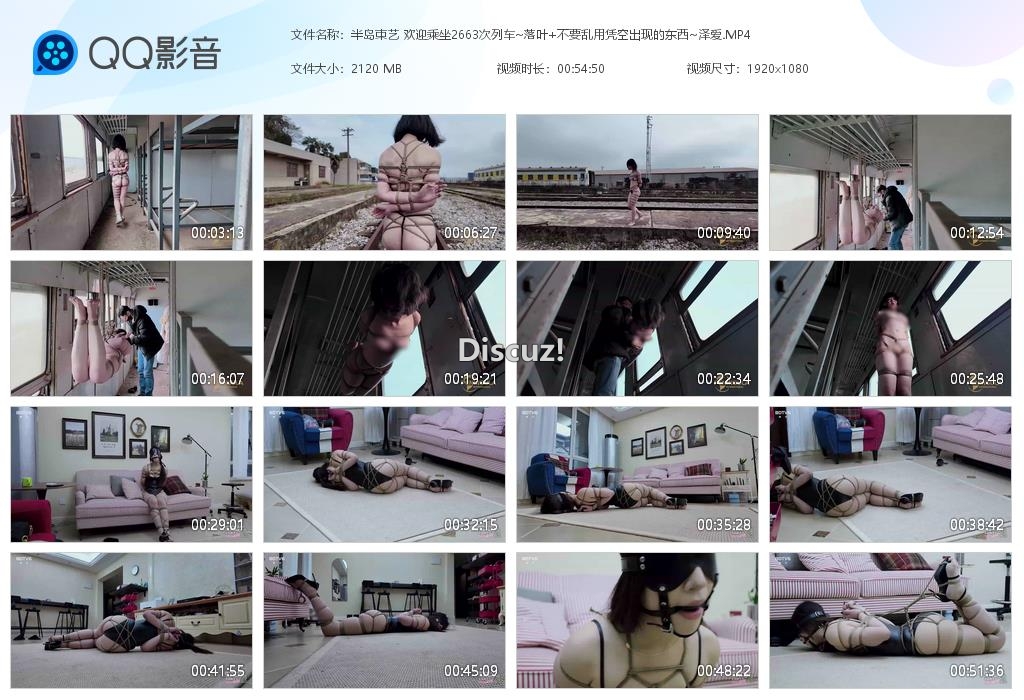 半岛束艺 欢迎乘坐2663次列车~落叶 [20250210-020534].jpg